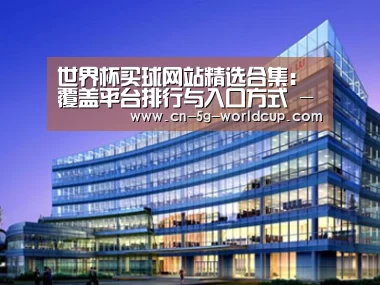 案例展示五