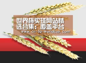 世界杯买球网站精选合集：覆盖平台排行与入口方式 - 2026世界杯
